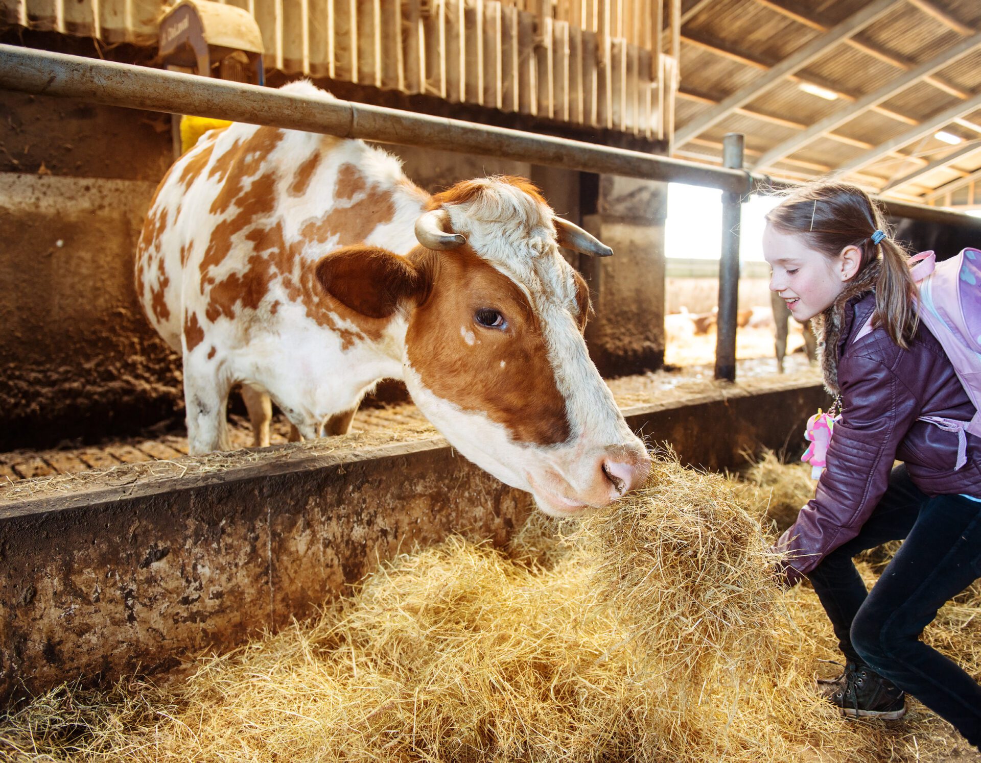 Livestock Feed Livestock Feed